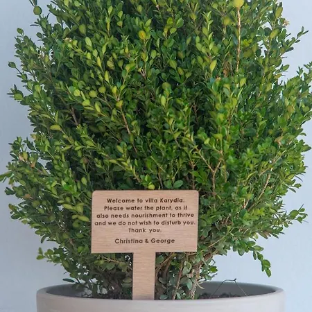 Private Karydia With Private Pool *