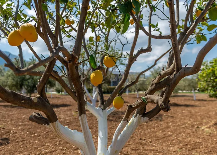 Private Karydia With Private Pool