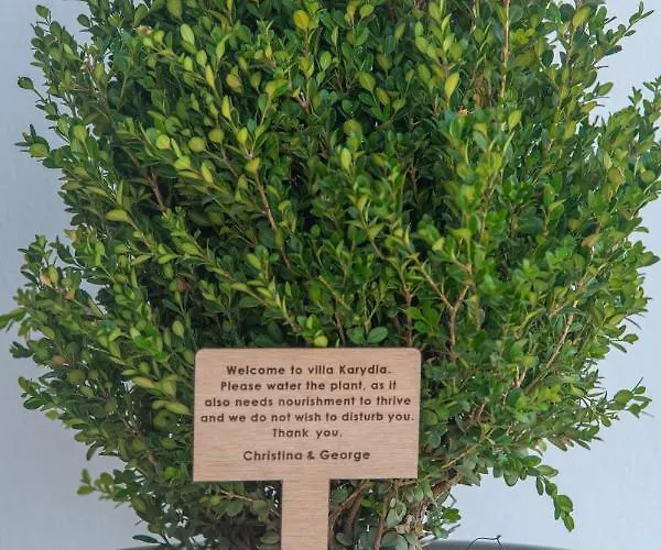 Private Karydia With Private Pool *